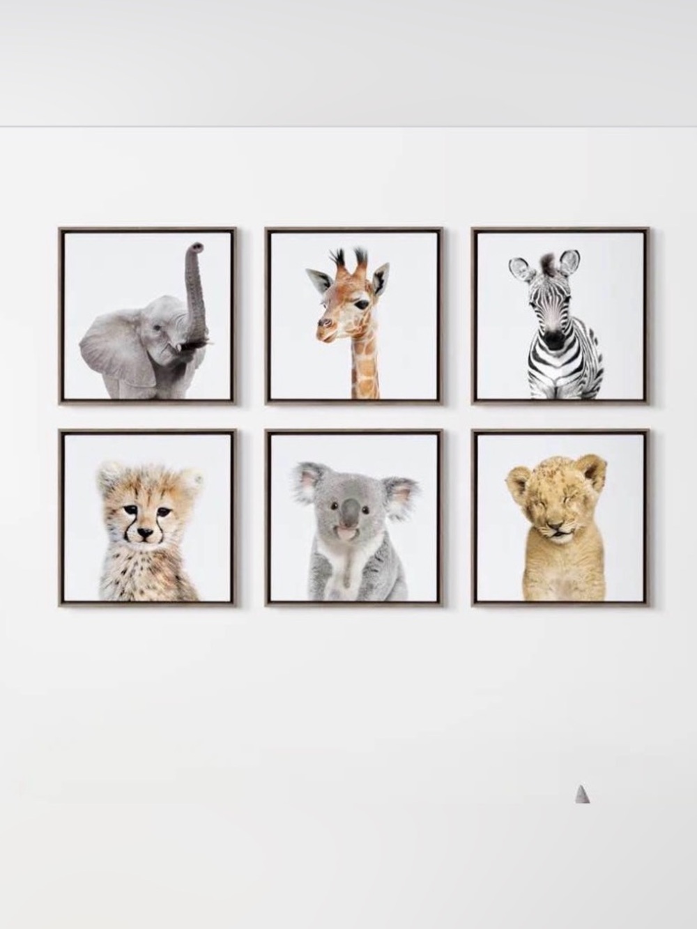 ‘Safari Animals’ by Amy Peterson - Floater Frame Graphic Art Prints (Set of 6) - Picture 5 of 11
